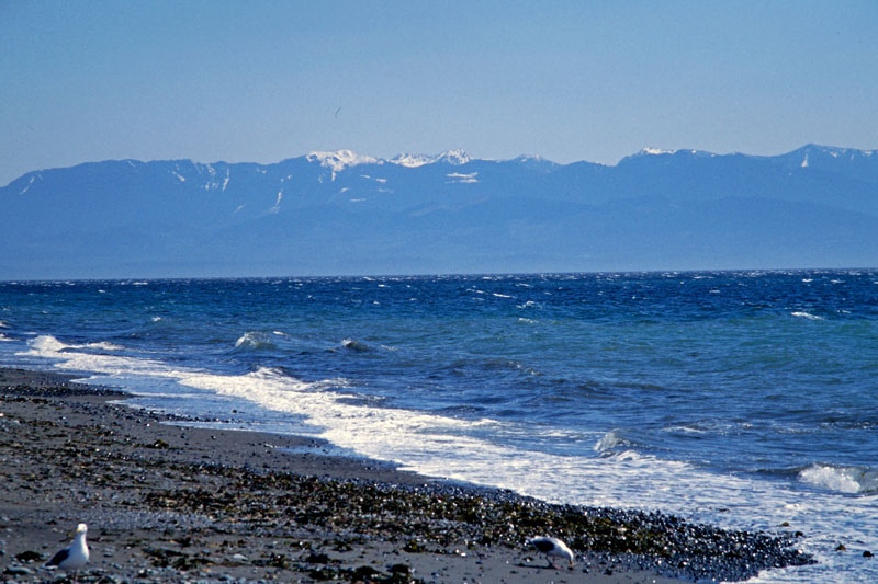 Strand auf Vancouver Island